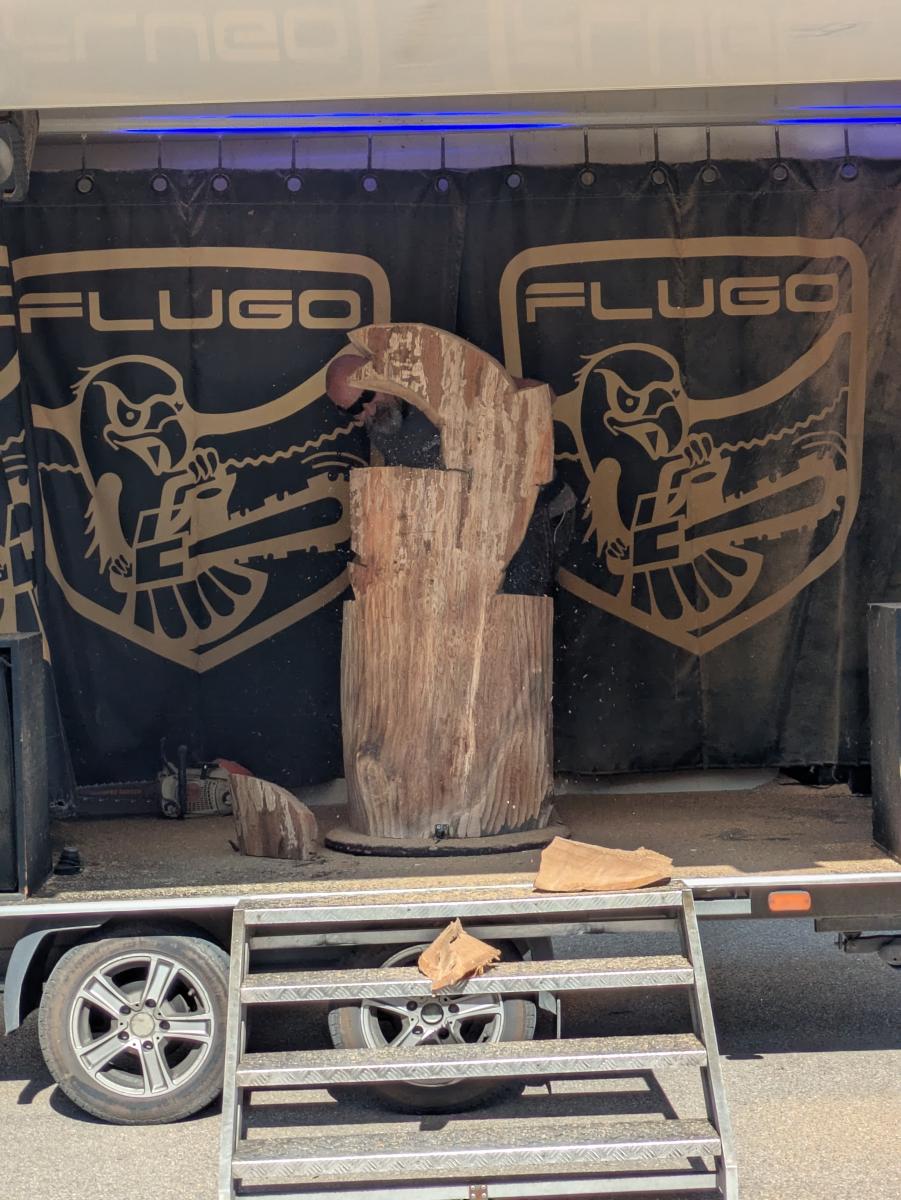 Motorsägekunst